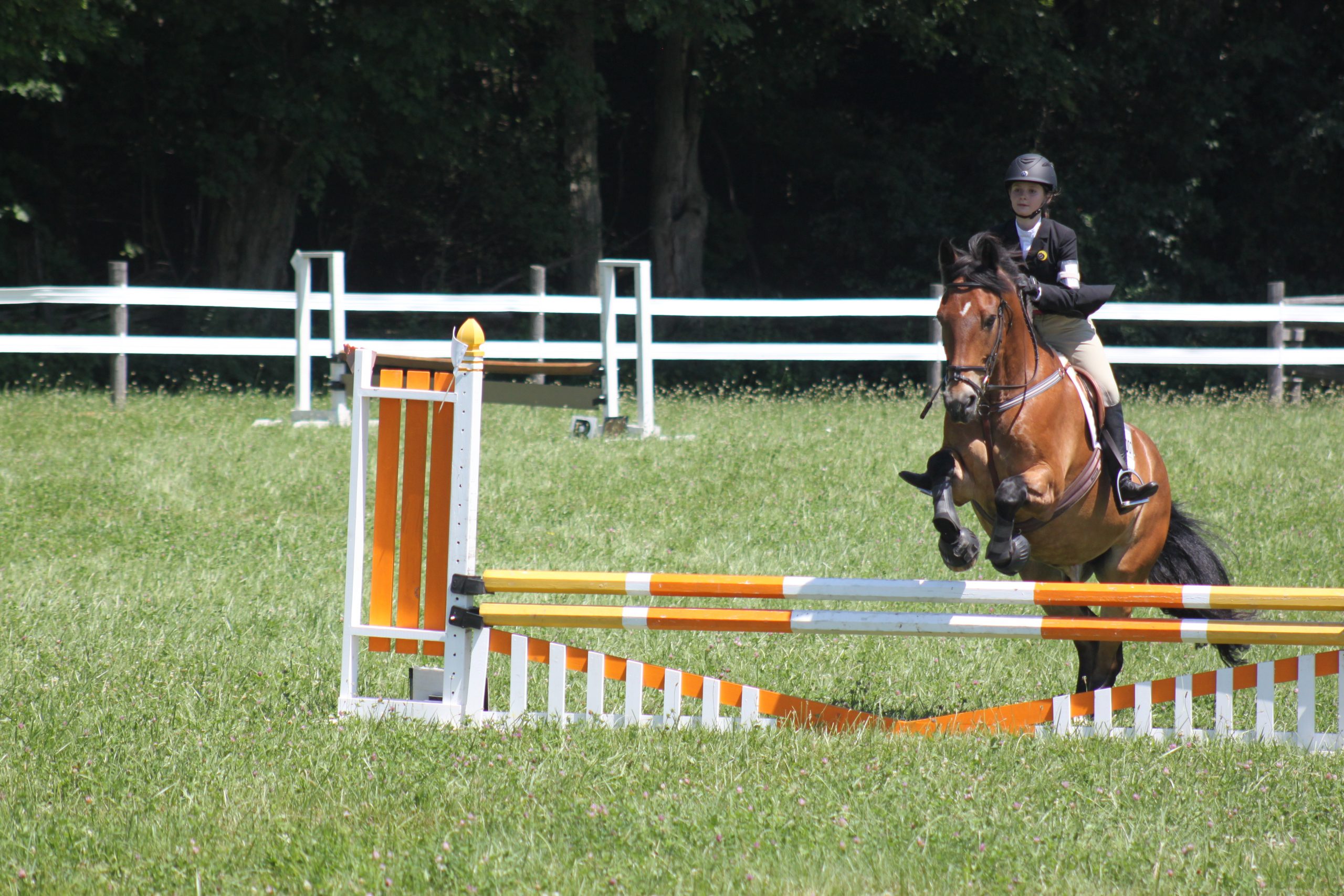Woodwinds South Show Jumping Qualifier