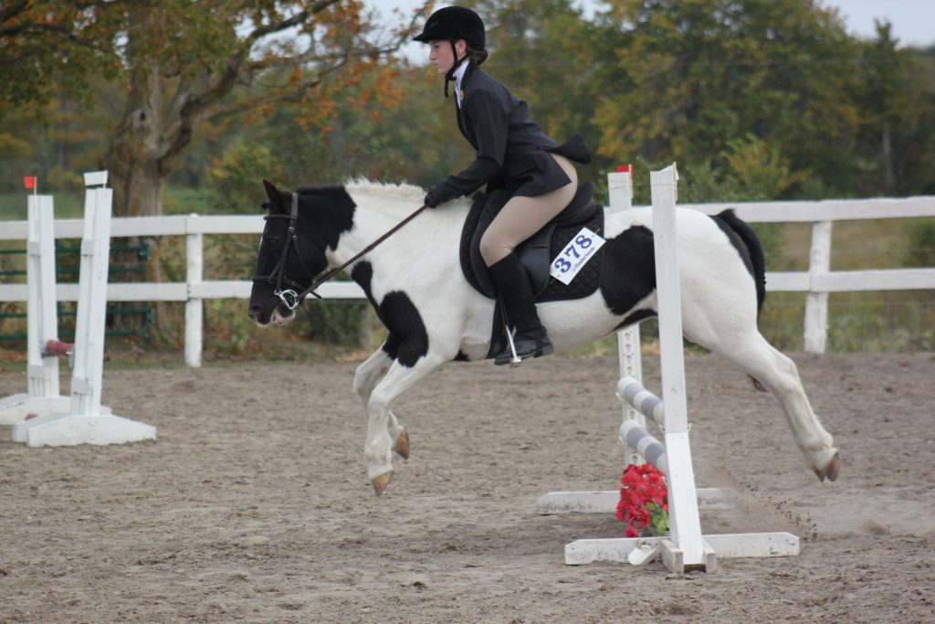 show jumping pony 2020